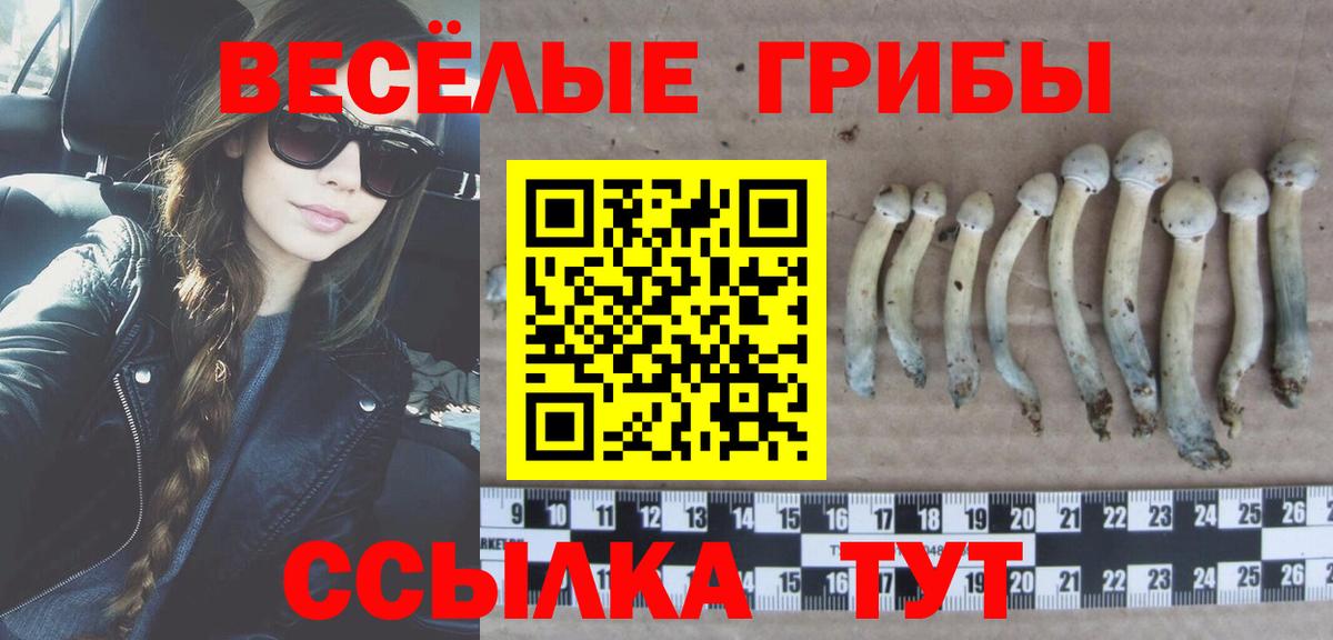 Псилоцибиновые грибы Psilocybine cubensis  Вход с VPN  где можно купить   Галлюциногенные грибы Magic Shrooms  Волгоград 